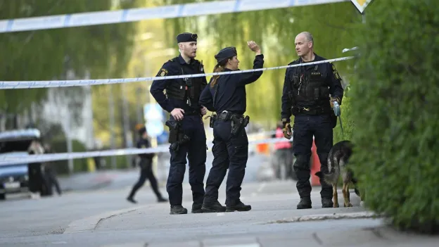 Suspect Arrested After Fatal Shooting at Hair Salon in Sweden