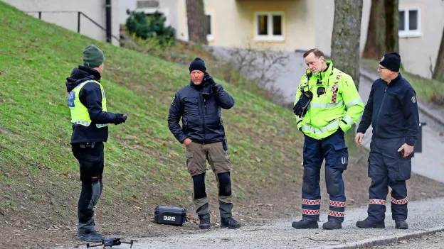 Sweden Faces Unprecedented Wave of Violence: Search for Solutions