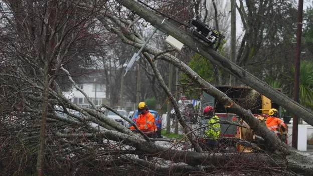 Thousands Still Without Power in Ireland Two Weeks After Storm Éowyn