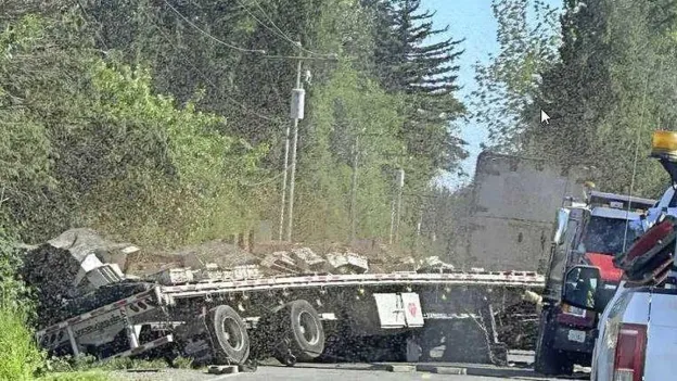 Truck Overturns in Western US, Releasing 250 Million Bees: Area Warned to Avoid