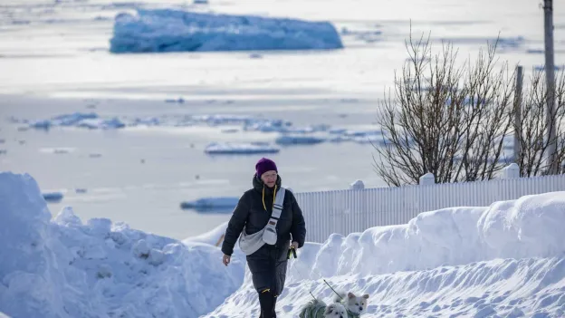 Trump's Recognition of Greenland's Self-Determination Welcomed by Denmark