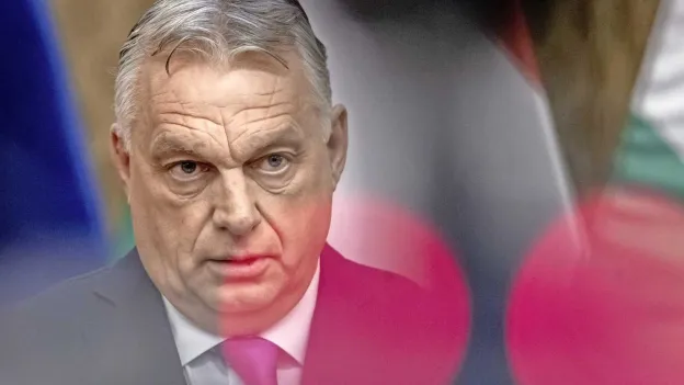 Ukraine Uncovers Alleged Hungarian Spy Network in Zakarpatska