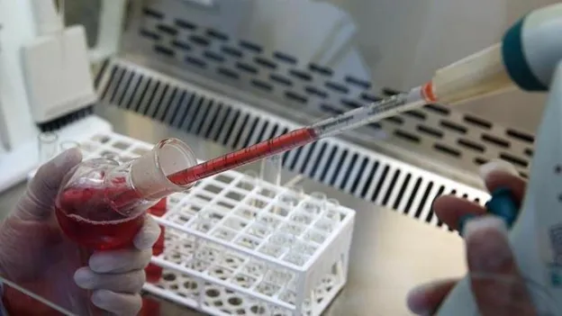 Unknown Disease Outbreak Raises Alarm: High Number of Deaths in African Country
