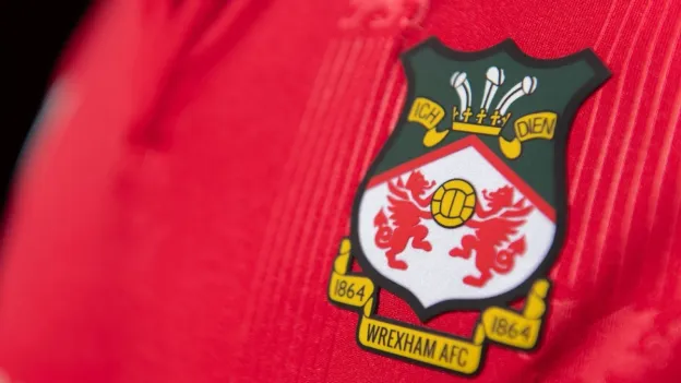 Welsh Interpreter for Ryan Reynolds' Wrexham to Receive Top Honour