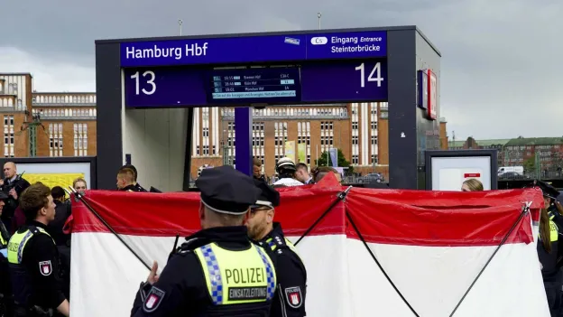 Woman (39) Involved in Stabbing Incident in Hamburg Recently Discharged from Psychiatric Facility