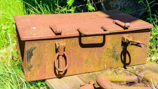 Woman Discovers Treasure Chest of Antique Coins in Park Revealed as Elaborate Marketing Stunt